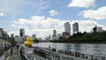 水都大阪の巨大あひるちゃん見てきた
